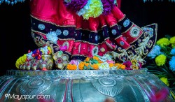 Daily Darshan