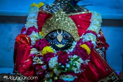 Daily Darshan