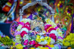 Daily Darshan