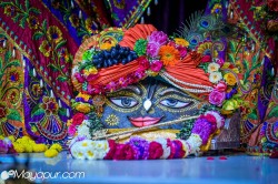 Daily Darshan
