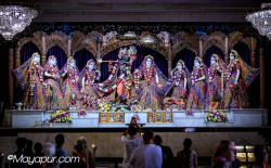 Daily Darshan