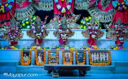 Daily Darshan