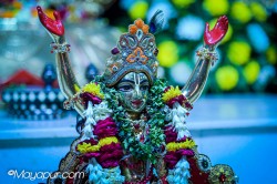Daily Darshan