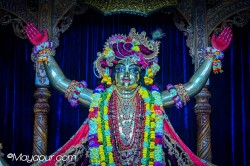 Daily Darshan
