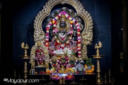 Daily Darshan
