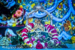 Daily Darshan