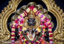 Daily Darshan