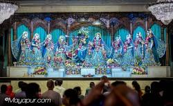 Daily Darshan