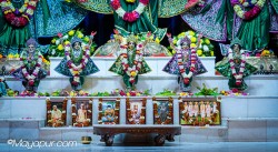 Daily Darshan
