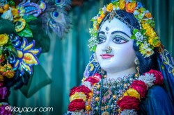 Daily Darshan