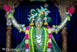 Daily Darshan