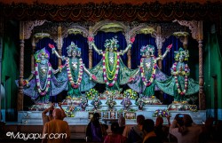 Daily Darshan