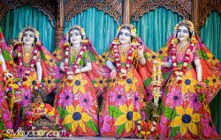 Daily Darshan