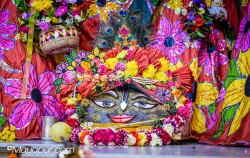 Daily Darshan