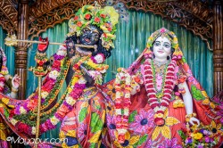 Daily Darshan