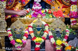 Daily Darshan
