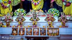 Daily Darshan