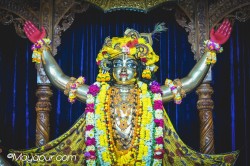 Daily Darshan