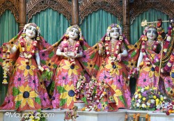 Daily Darshan