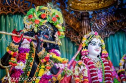 Daily Darshan