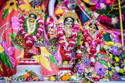 Daily Darshan
