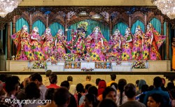 Daily Darshan