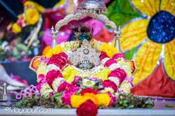 Daily Darshan