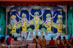 Daily Darshan