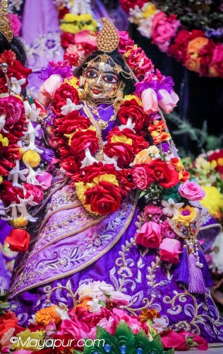 Daily Darshan