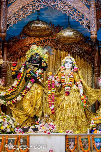 Daily Darshan