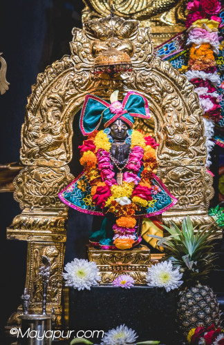 Daily Darshan