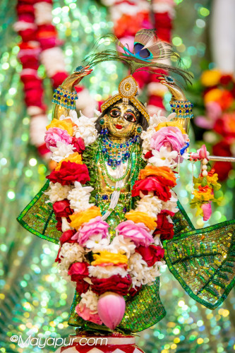 Daily Darshan
