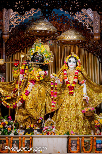 Daily Darshan