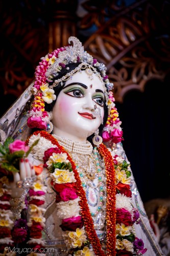 Daily Darshan