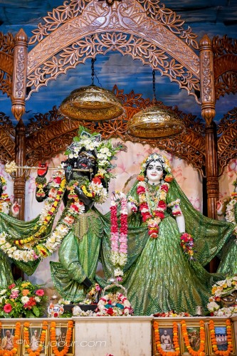 Daily Darshan