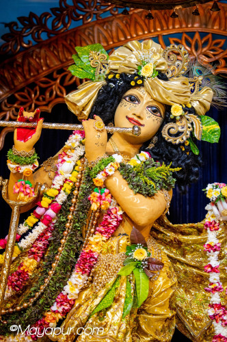 Daily Darshan