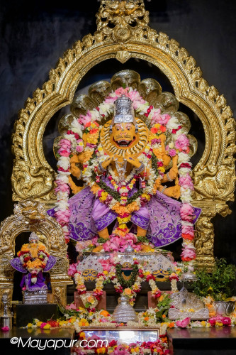 Daily Darshan