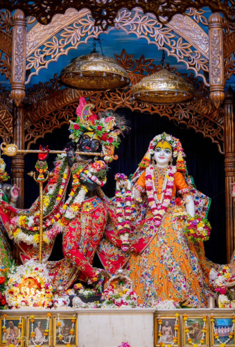 Daily Darshan