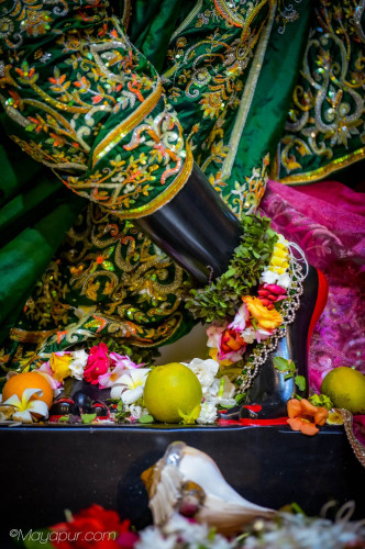 Daily Darsahan