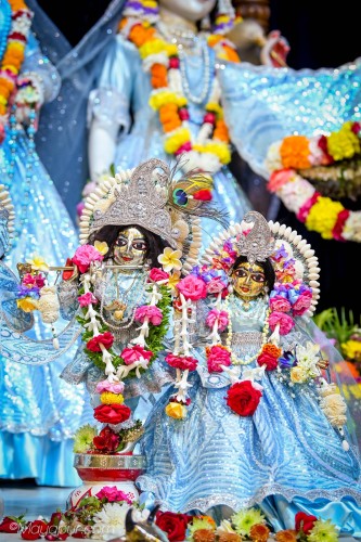 Daily Darshan