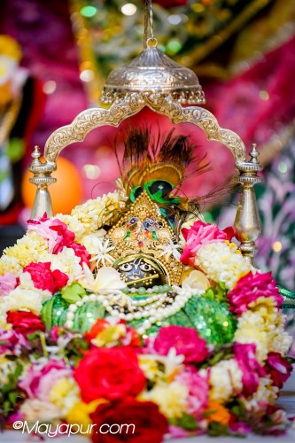 Daily Darshan