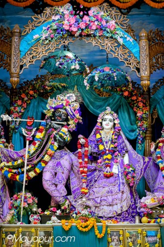 Daily Darshan