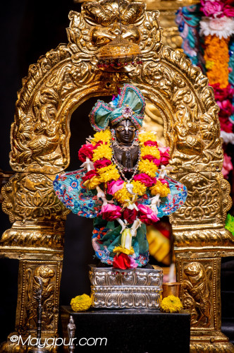 Daily Darshan