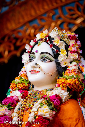 Daily Darshan