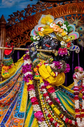 Daily Darshan