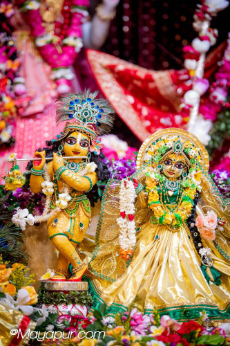 Daily Darshan