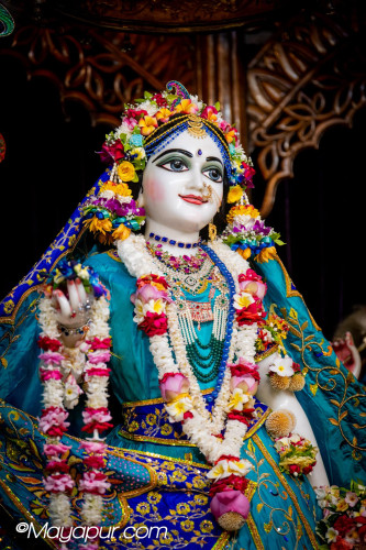Daily Darshan