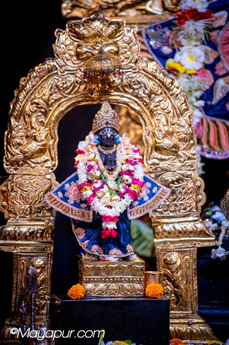 Daily Darshan