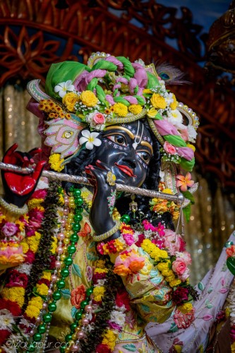 Daily Darshan