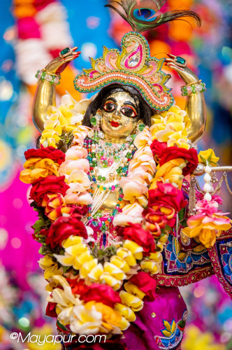 Daily Darshan